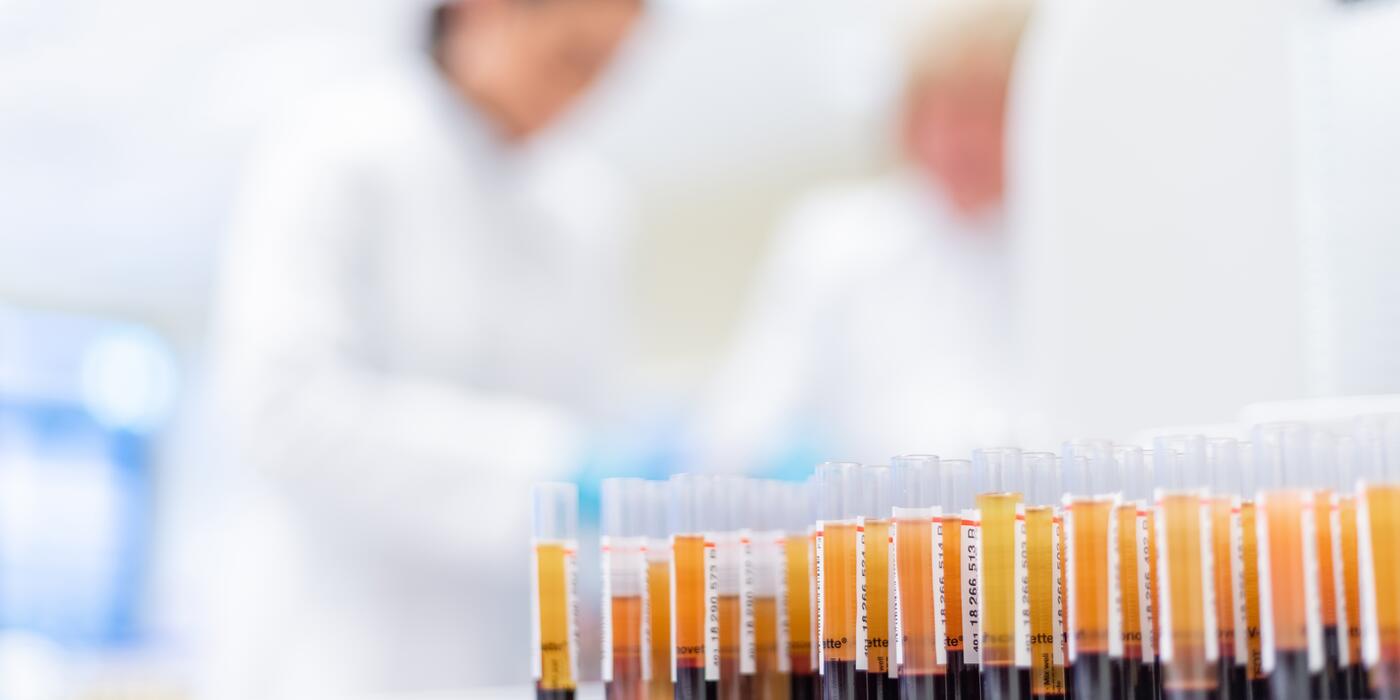 Woraus besteht Blut eigentlich?