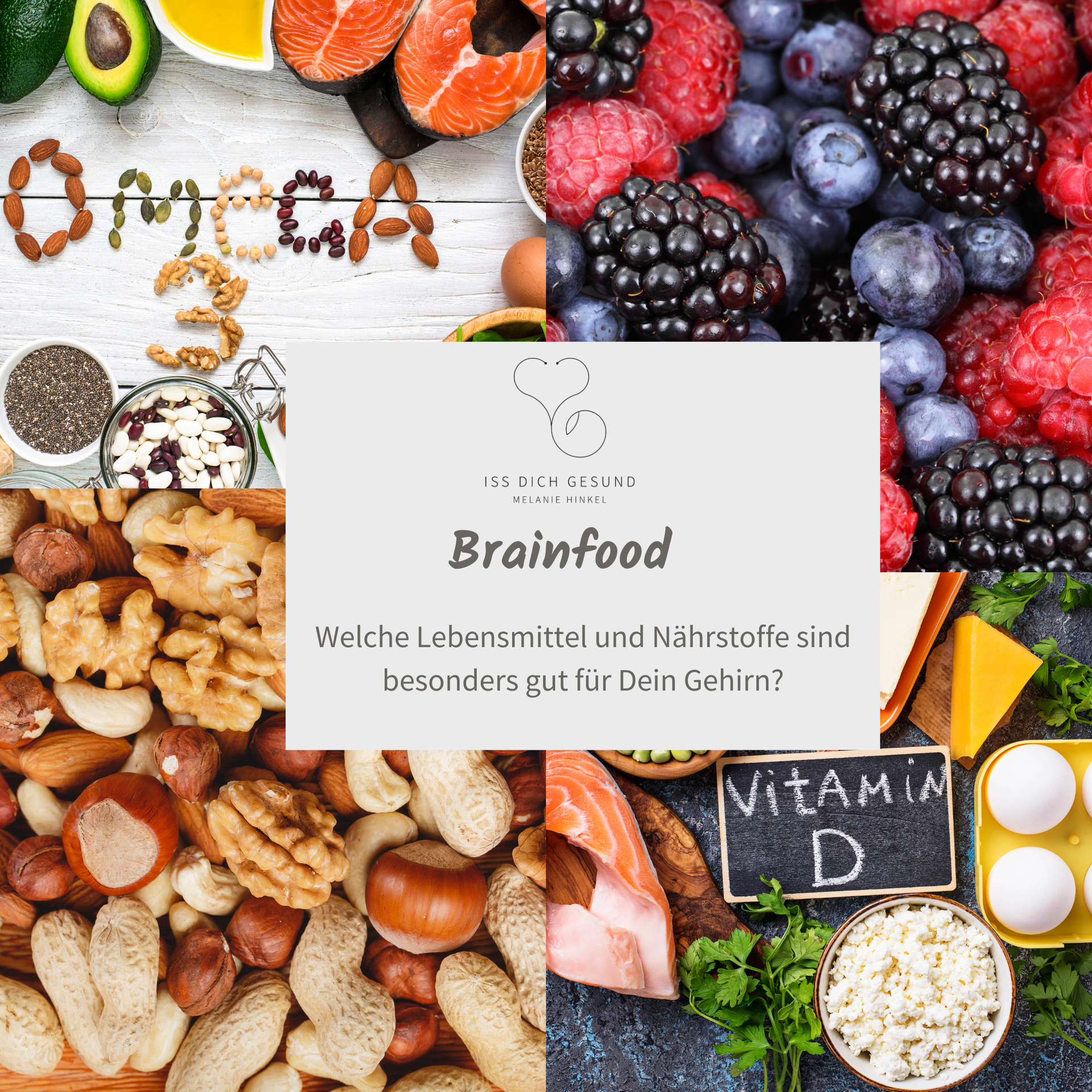 Melanie Hinkel: Brain-Food- Kann Deine Ernährung Dein Gehirn beeinflussen?