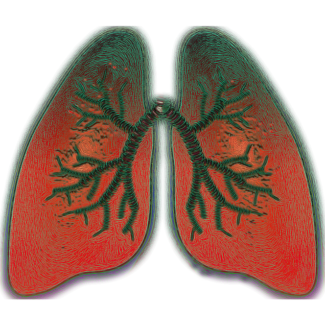 Katja Schwalm über Prävention und Therapie von Asthma