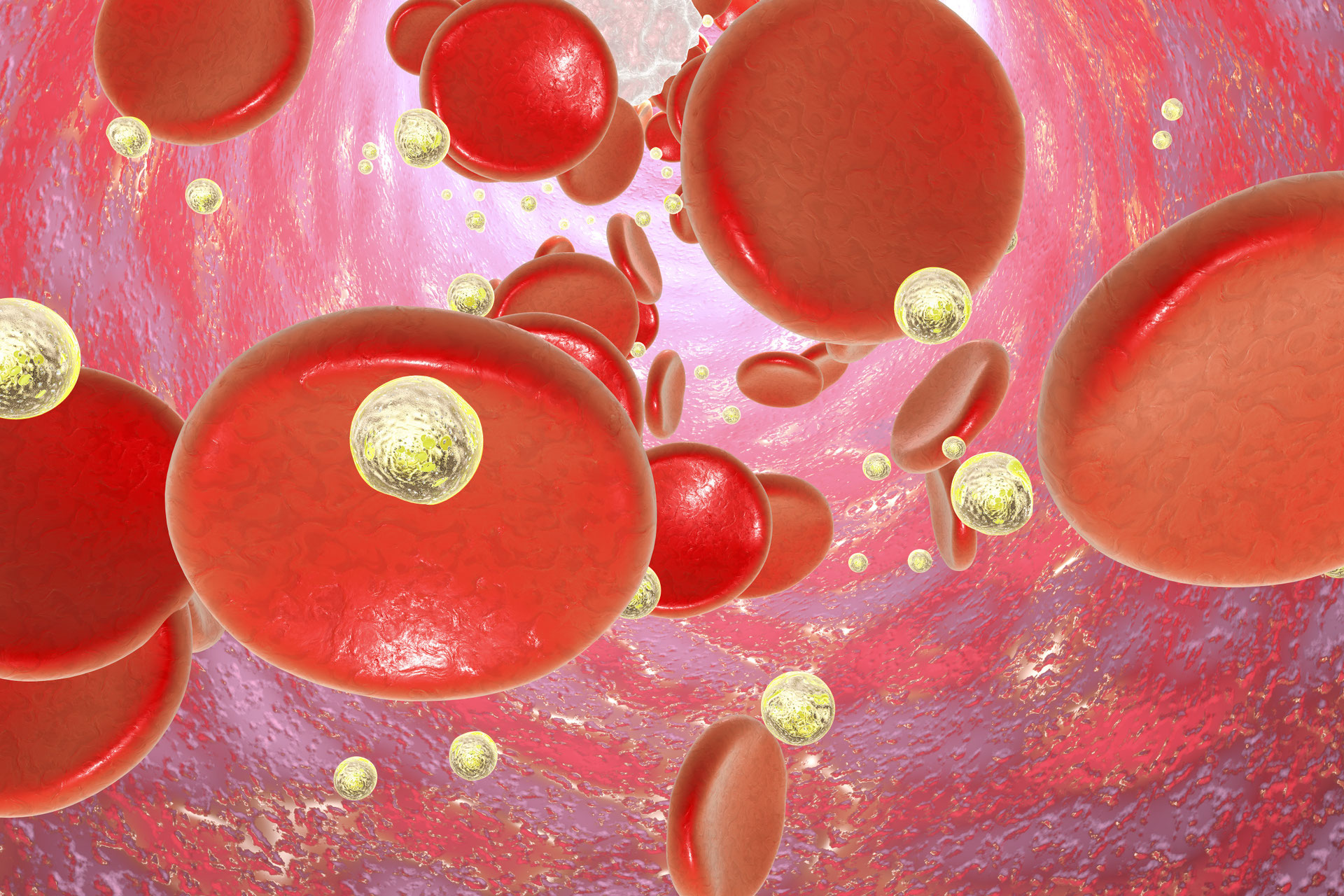 Krebs: Hoffnung durch Nanopartikel
