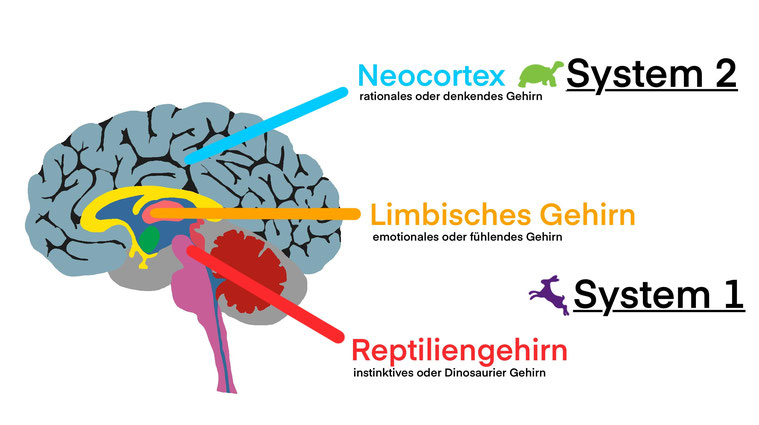 Was das Geld mit der Psyche zu tun hat (Teil 3)