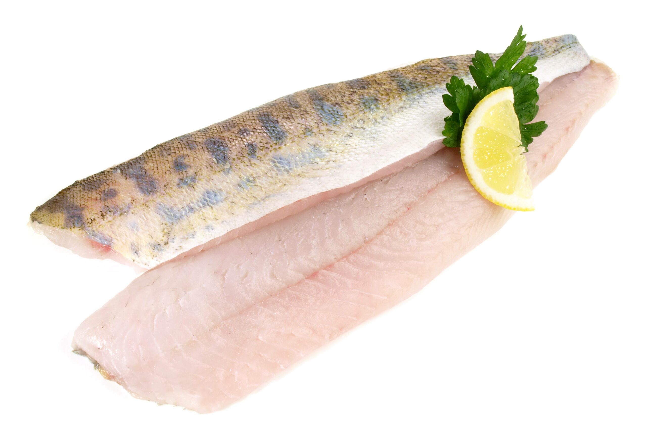Geheimtipp Zander: Darum ist der Süßwasserfisch eine besonders gesunde Alternative