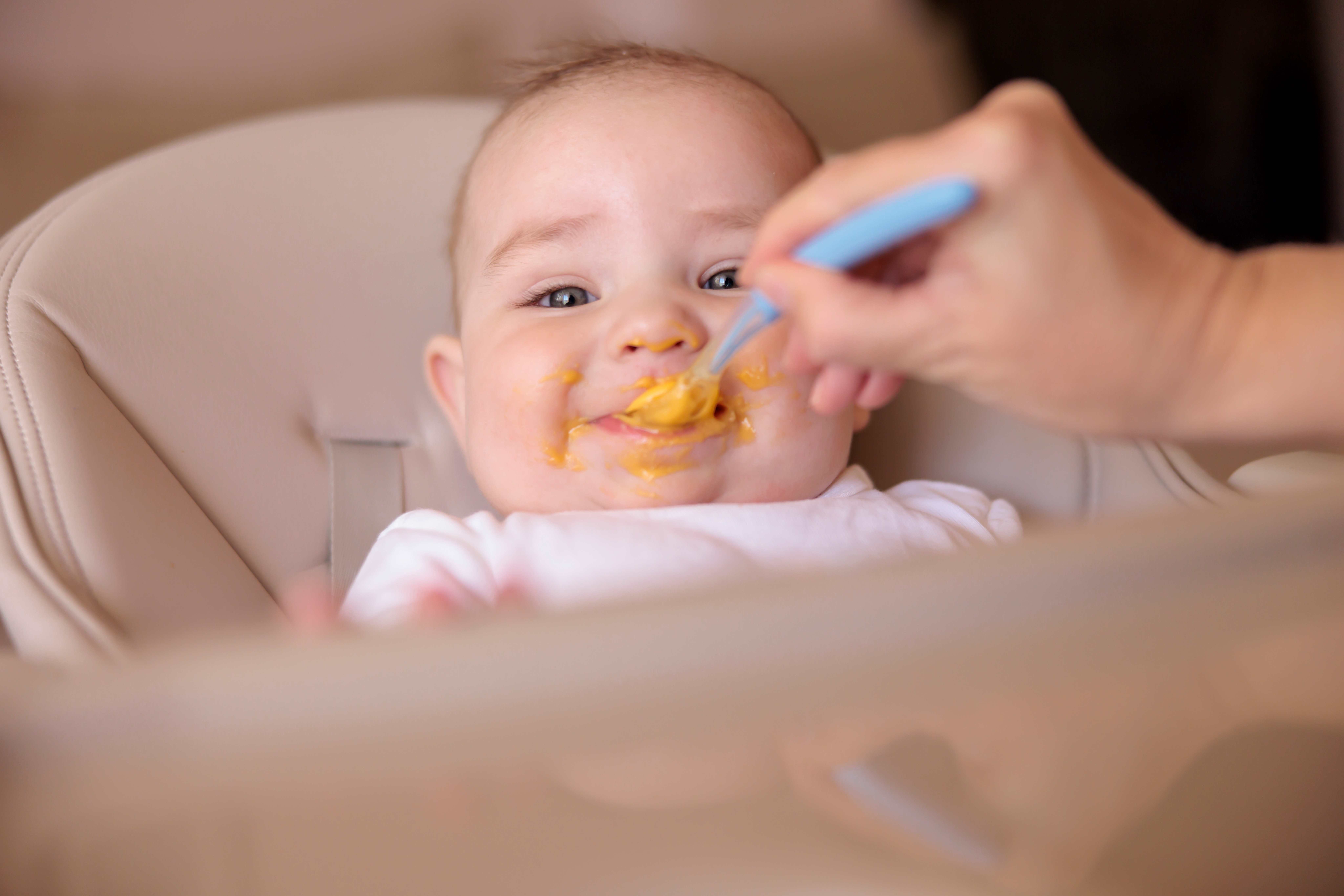 Verbraucherzentrale: Web-Seminar – richtige Ernährung für Säuglinge