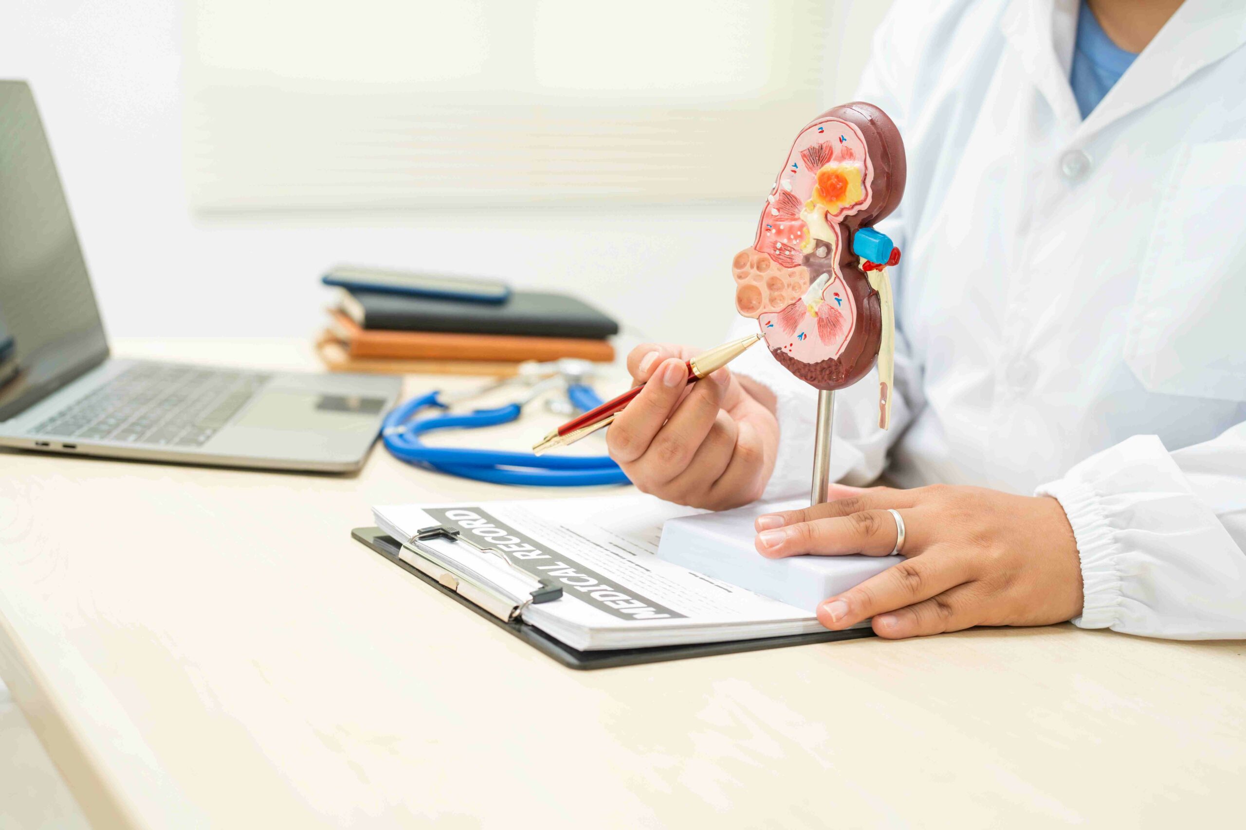 Warum besonders Menschen mit Diabetes auf ihre Nieren achten sollten