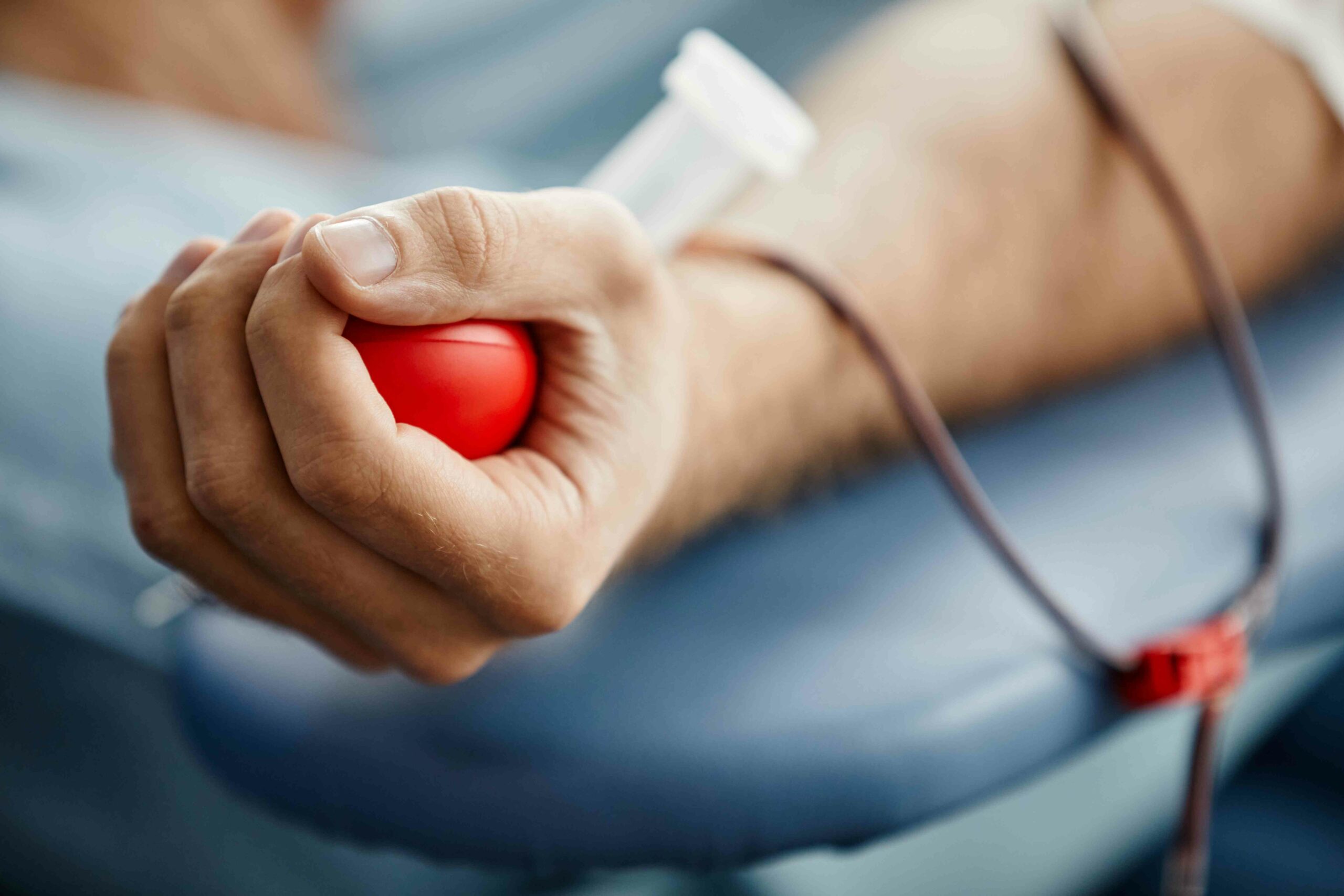 Häufiges Blutspenden fördert die Regeneration der Blutzellen