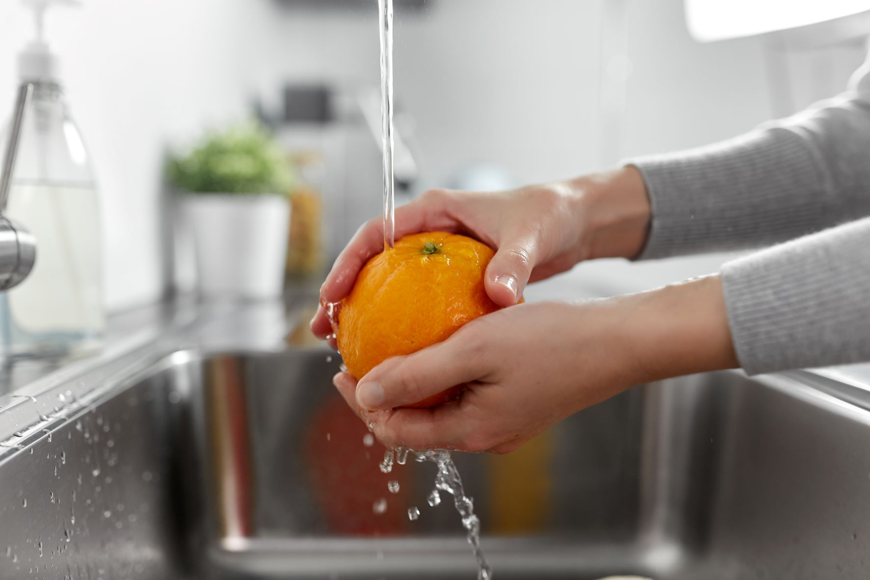 Orangen vor dem Verzehr waschen – Schalen von Zitrusfrüchten oft behandelt