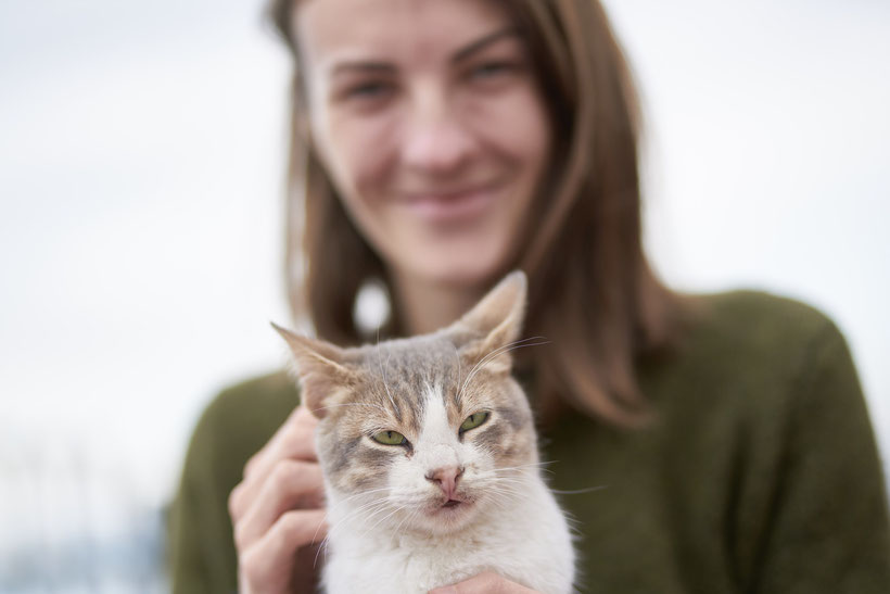 Website für Katzenfreunde mit Tierhaarallergie